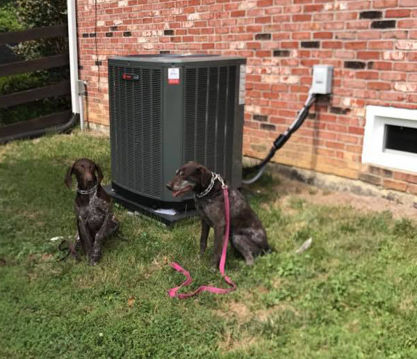New Trane System